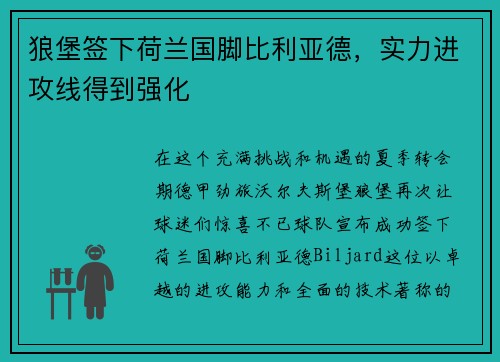 狼堡签下荷兰国脚比利亚德，实力进攻线得到强化